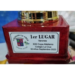 Placas sublimadas a todo...